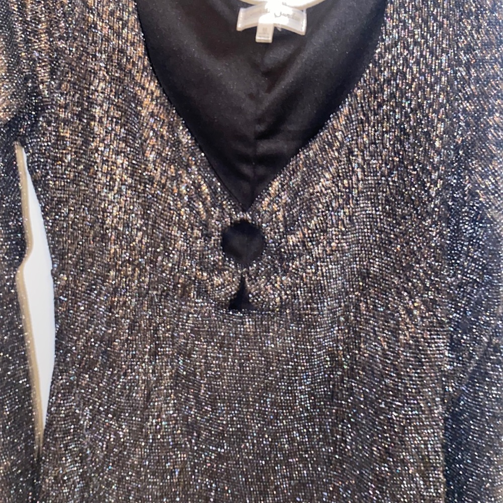sparkly dress